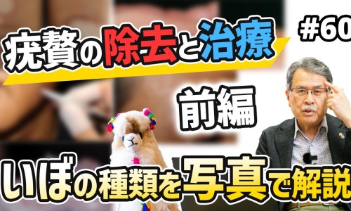 庆大霉素b12的功效与主治-权威庆大霉素胶囊的功能主治是什么平台,分享专业庆大霉素片的作用知识_庆大霉素片主治功能网